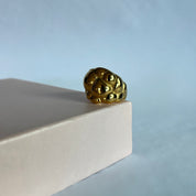 Anel Boll