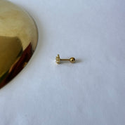 Piercing Abelinha